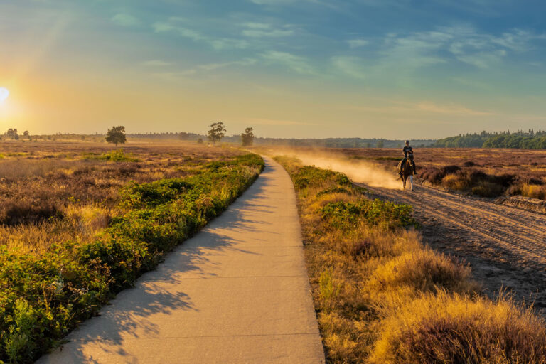 ginkelse heide